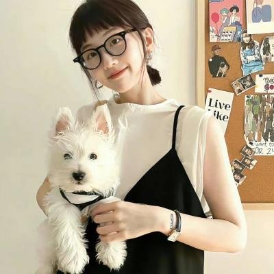 学校的墙不见了
