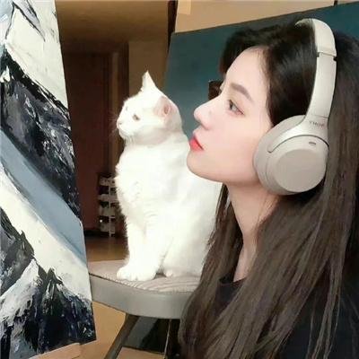 五台山儿女英雄传